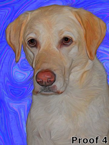 Custom Yellow Lab Portraits