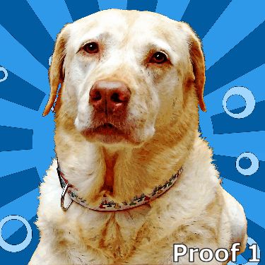 Custom Yellow Lab art