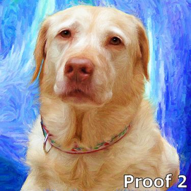 Custom Labrador Retriever Portraits
