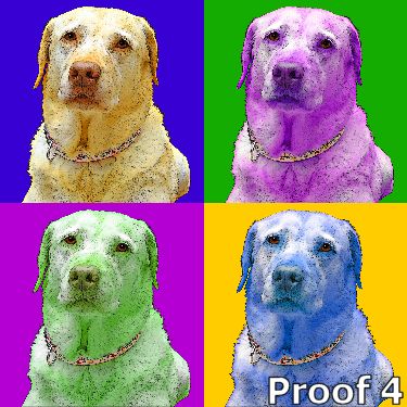 Yellow Labrador Retriever gifts and portraits
