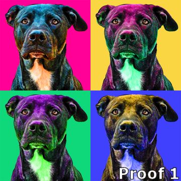 Custom dog portraits and art