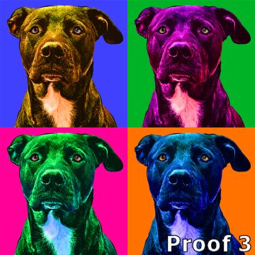 dog portraits and gifts