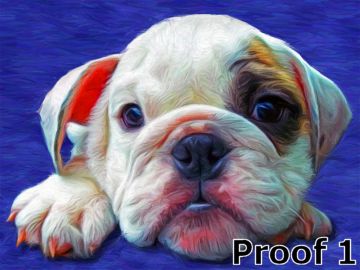 Bulldog Portrait Pop Art Style