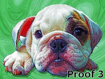 pop art portrait english bulldog