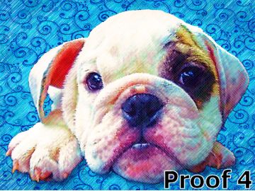  Breed Specific Portrait English Bulldog