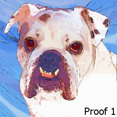 bulldog pop art pet portrait