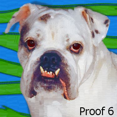 dog portrait Bulldog art
