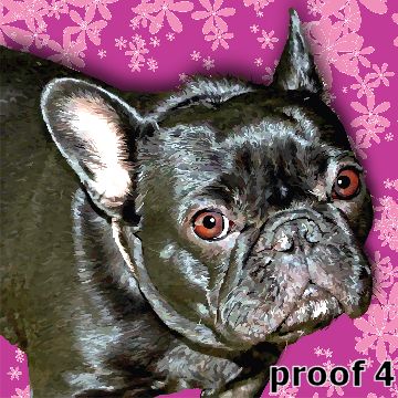 Warhol inspired french bulldog pop portraits and gift items