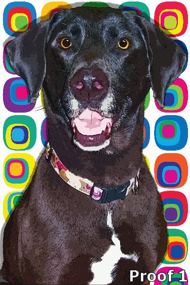 Retro pop art from your photos custom dog art