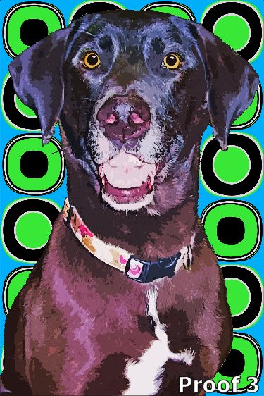 Retro custom dog art portrait