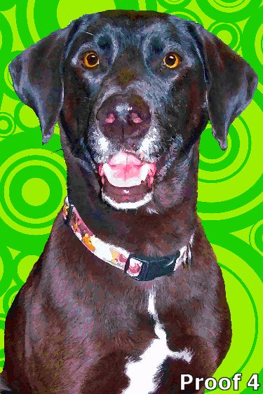 Retro style pop art portrait Labrador Retriever