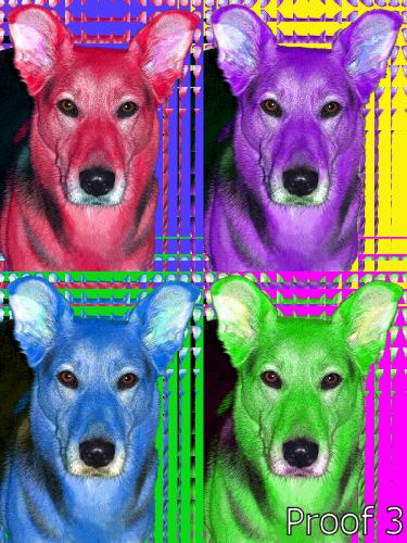 dog pop art