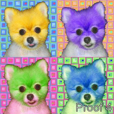 Pomeranian Art Portraits and gifts for the dog lover
