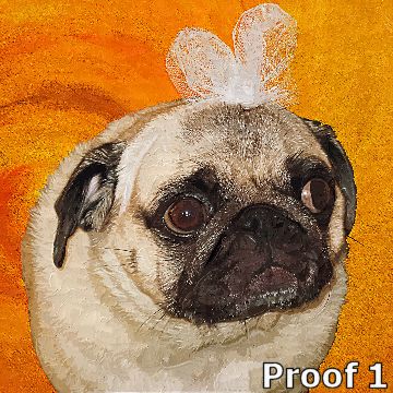 Custom Chinese Pug Art