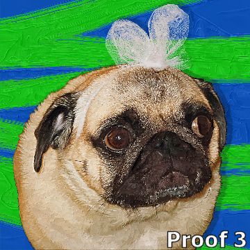 Puggie art