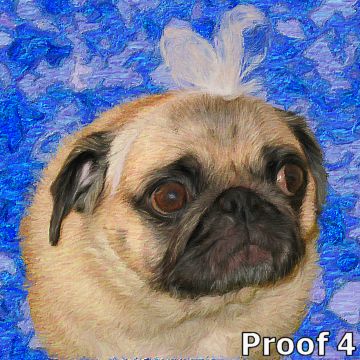 Custom Pug portraits