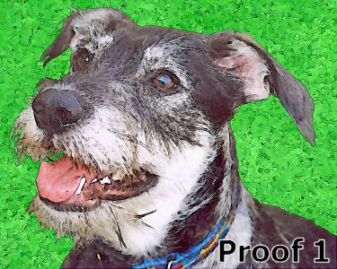 Terrier Art