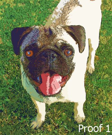 Pug pop art