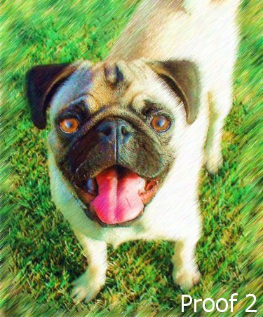 Pug art portrait