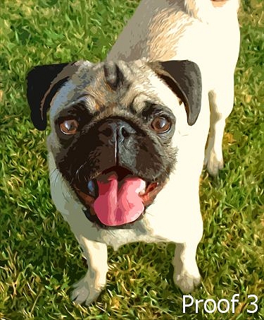 Puggie art portrait