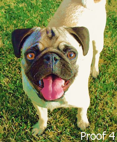 Pug Warhol style art portrait