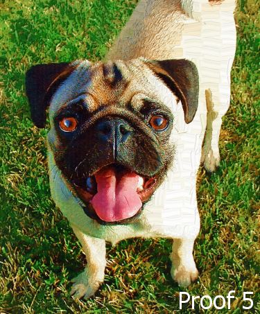 Pug art warhol style 