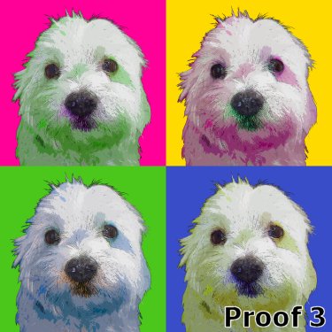 Custom Maltese portrait