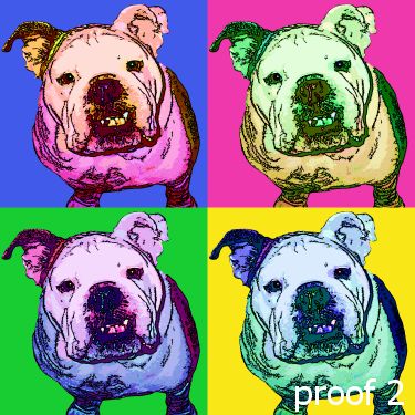 English Bulldog Art Portrait