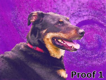 dog portrait art