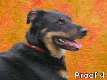 Mutt cool art portrait 