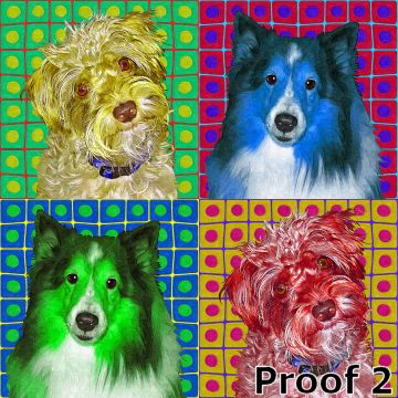 pet portraits