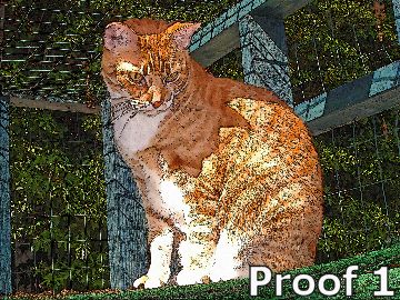 pet art and cat gifts