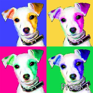 Jack Russell Terrier Puppy Portrait