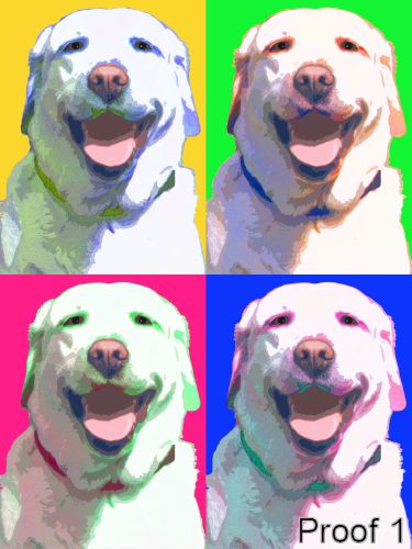 Custom Yellow Lab portraits and art