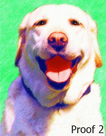 Yellow Lab custom art and gifts