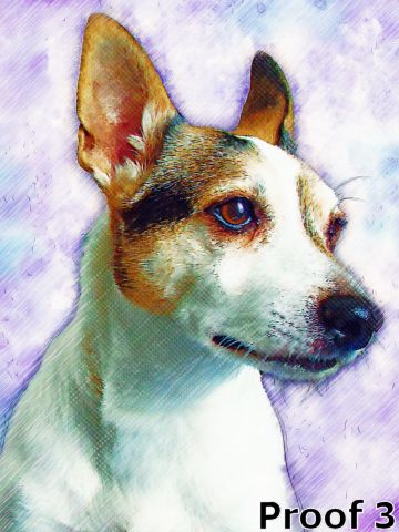 Breed Rat Terrier Portrait