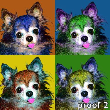 Cool Dog Portrait
