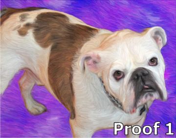 Custom Bulldog Portrait 