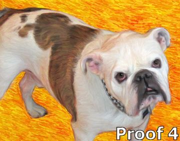  Breed Specific Pet Portrait Bulldog