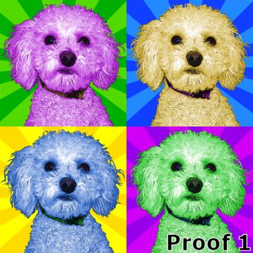 Poodle art portraits 