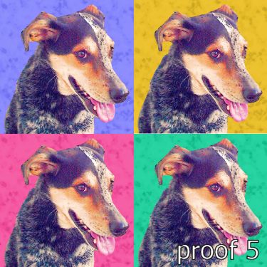 custom portraits of your dog