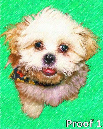 Custom Maltese art and gifts