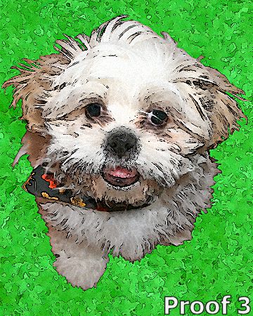 Custom Maltese portrait