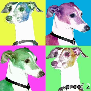 Italian Greyhound art portrait