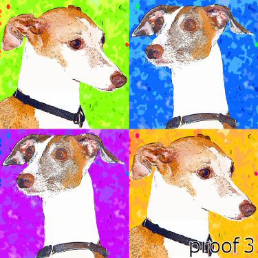 Italian Greyhound art portrait