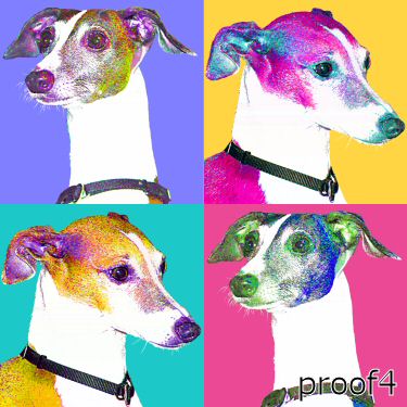 Italian Greyhound Warhol style art portrait