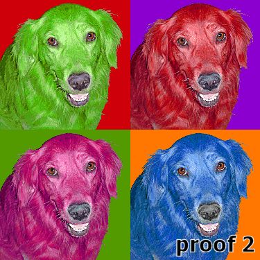Dog art Golden Retriever pop art portraits