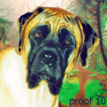 custom pet portrait english mastiff