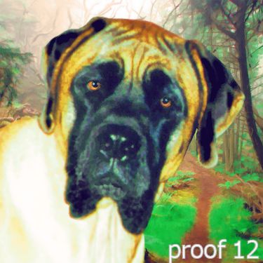  breed specific pet portrait mastiff 