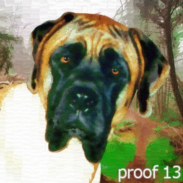 pop art pet portraits english mastiff 